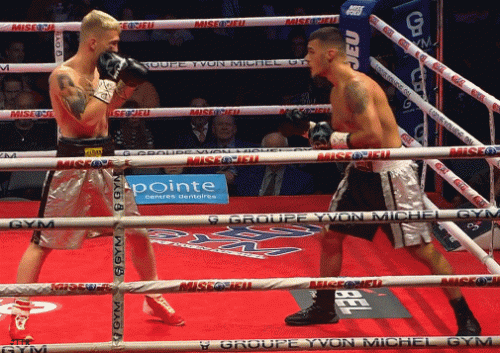 derekpomerleau32rdf43f34.gif