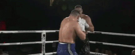 dusantko6grer4534verd.gif