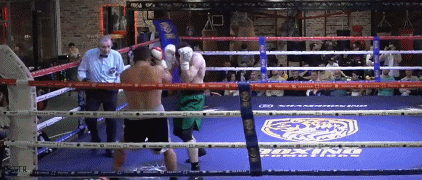 eestermierte45435g4.gif