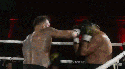 landbergtko43rf4343.gif