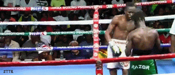 laryeatko34rf34f3.gif