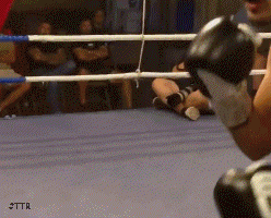 lozotko43f34f4se.gif