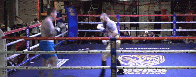 rasul34f35f-gdf.gif