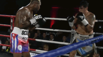 scullkd4trgf435ggevr.gif