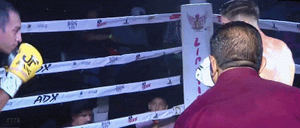 acevedotko34r3f4354g4f.gif