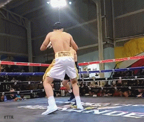 adan1rgf435vet4.gif