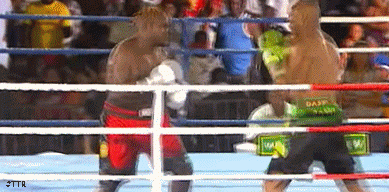 darbyud43f33434.gif
