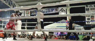 ezgif-1-ce928e78ef.gif