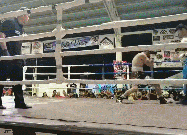 lomelitkoktok34r34f34f.gif