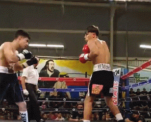 rayitotko433r4fv45.gif