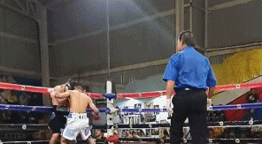 roebnrto34f3354.gif