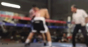 tkobrutalmexico43f34.gif