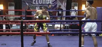 ealerrawer4fwef34.gif