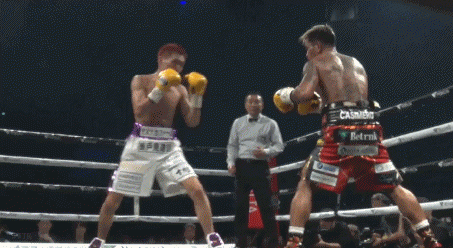 oguni42r3f434.gif