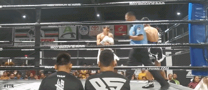 palarca3dwef34f34.gif