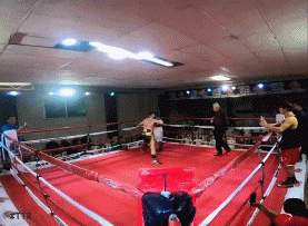 terrytko34f34.gif
