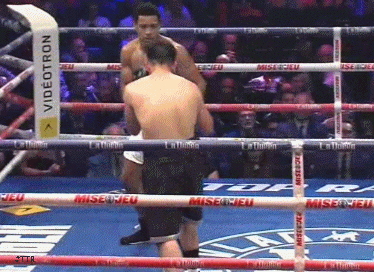 wikenstko433f4345.gif