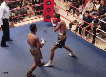 hamrouktko435r34f34.gif