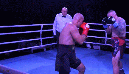 jevicky4r34f34.gif