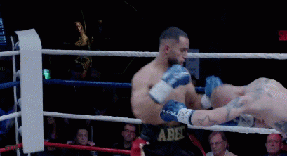 abed23e24df34f435.gif
