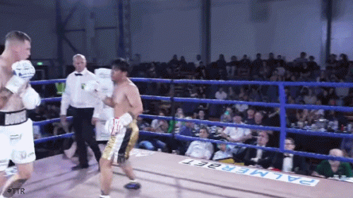 bowenko4534f3.gif