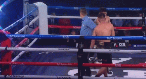 rosaktfo34324f3454.gif