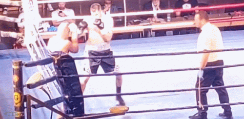 bakovicko34234fr34f34.gif