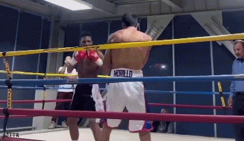murrilo32d34f34.gif