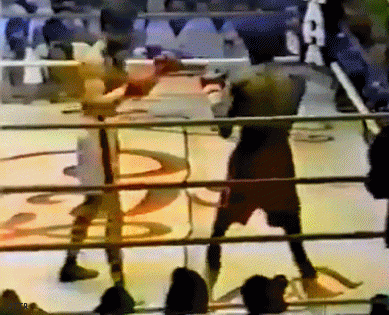 weirdestkodelayedeverer4f43r3545342f3.gif