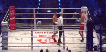 kurilov43f3448787.gif