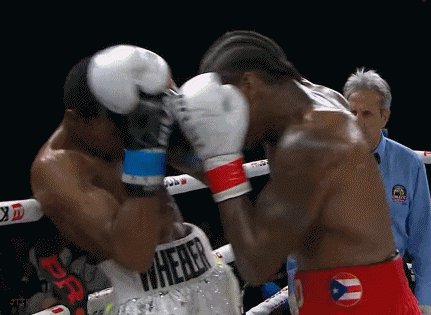 najeetko34334f345.gif