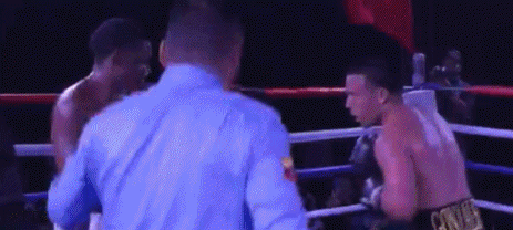 arnold24r34f-34.gif