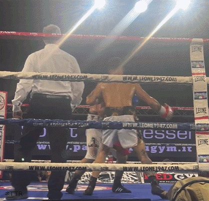 francesco3r2f34g34.gif