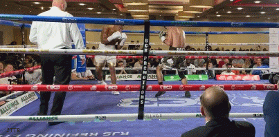 marceltkow43t34f345.gif