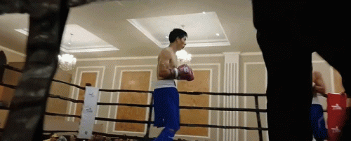 mxefrf54gf54g34yg.gif