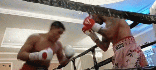 trentko435t4f34t3.gif