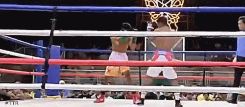 arnel1564yh56h5nty.gif