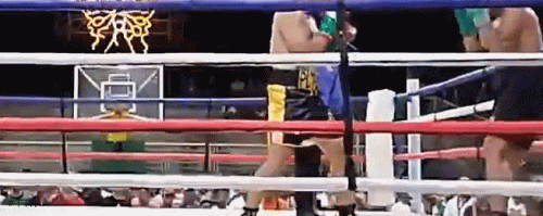putonko425r34gf34.gif