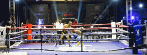 tko34t3g35t45g54.gif