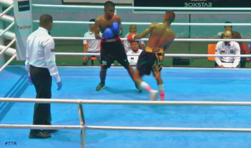 anumai3l3424f34fg.gif