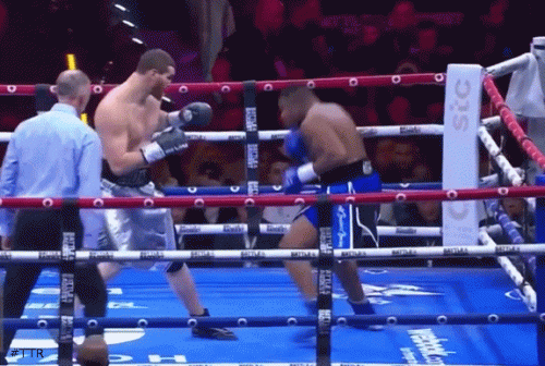 arslambukeo23rf4r34.gif