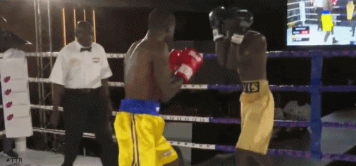 devistko34tg45tyg54g6.gif