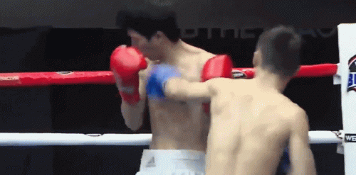 ducdocbao42f35g45g45e.gif