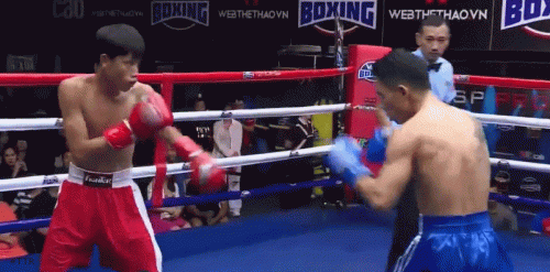 minhdown34r23f34t.gif
