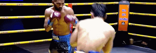 saartko42534gf53t4.gif