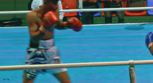 utshob42534gf34g.gif