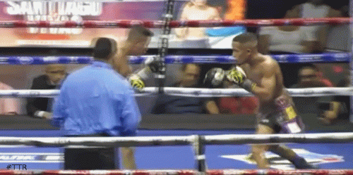 vivassantiagotko5635g456.gif