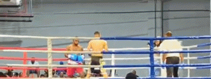 keibertko34t3gf35g4.gif