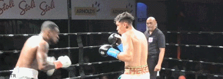 lambetko2r4f34gf34.gif