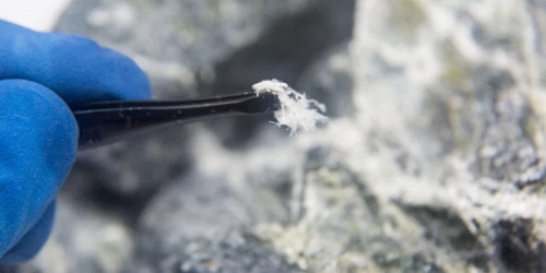 Mold-Testing-Freehold-NJ.jpg